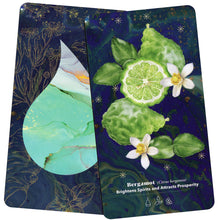 Load image into Gallery viewer, Essential Oil Oracle Deck