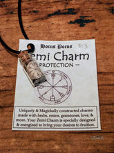 Load image into Gallery viewer, Zemi Charms