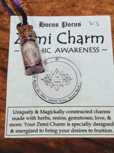Load image into Gallery viewer, Zemi Charms