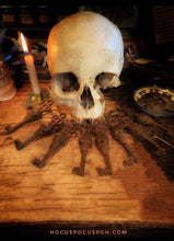 Load image into Gallery viewer, Skeleton Keys