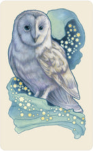 Load image into Gallery viewer, Dreamscape Oracle