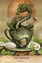 Load image into Gallery viewer, Field Guide to Garden Dragons