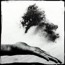 Load image into Gallery viewer, Black Salt