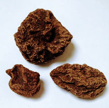 Load image into Gallery viewer, High John The Conqueror Root