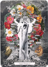 Load image into Gallery viewer, Alchemical  Visions Tarot Deck