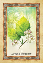 Load image into Gallery viewer, Celtic Tree Oracle Deck