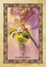 Load image into Gallery viewer, Celtic Tree Oracle Deck
