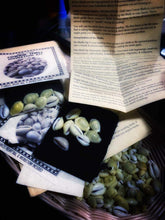 Load image into Gallery viewer, Cowrie Shell Divination Kit
