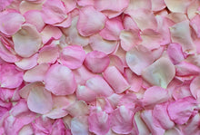 Load image into Gallery viewer, Hocus Pocus Rose Water