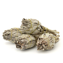 Load image into Gallery viewer, White Sage Bundle (small)