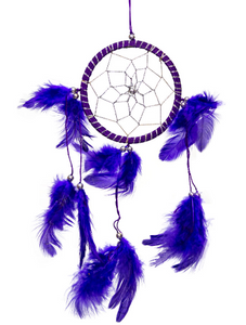 Rains of Purple Dream Catcher