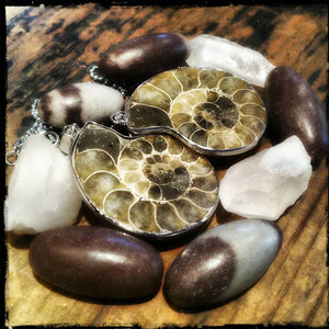 Ammonite Fossil Necklace