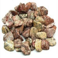 Leopard Skin Jasper Tumbled