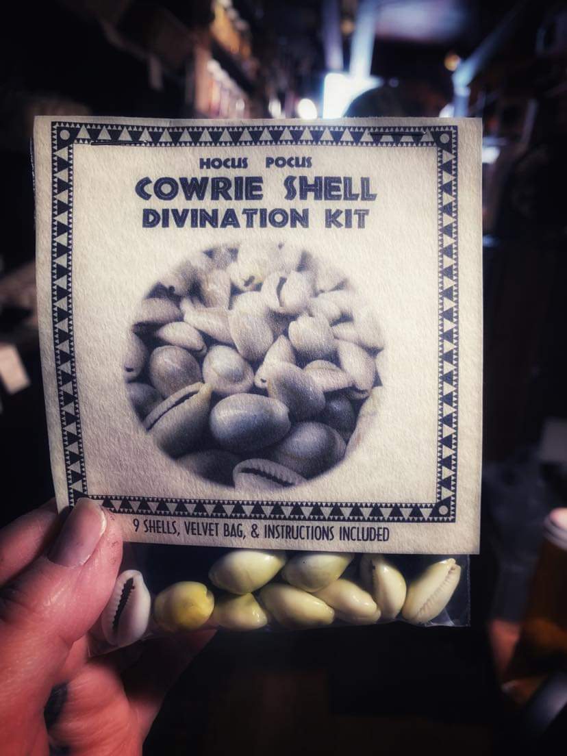 Cowrie Shell Divination Kit