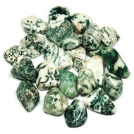 Tree Agate Tumbled